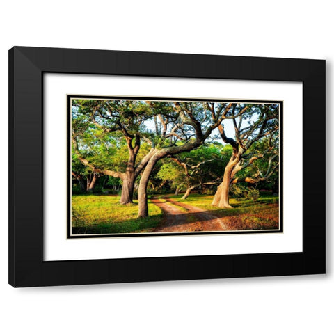 Lenoxville Point I Black Modern Wood Framed Art Print with Double Matting by Hausenflock, Alan