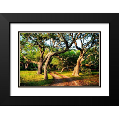 Lenoxville Point I Black Modern Wood Framed Art Print with Double Matting by Hausenflock, Alan