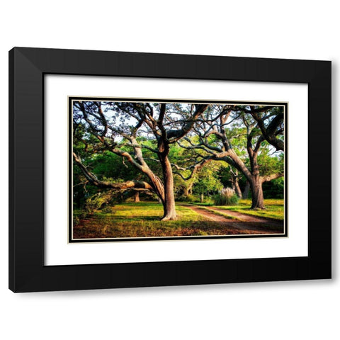 Lenoxville Point II Black Modern Wood Framed Art Print with Double Matting by Hausenflock, Alan