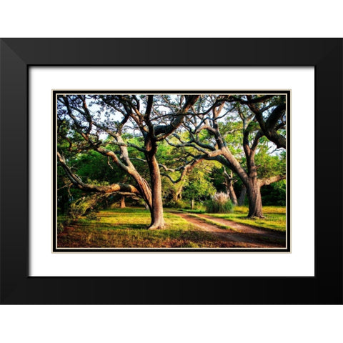 Lenoxville Point II Black Modern Wood Framed Art Print with Double Matting by Hausenflock, Alan
