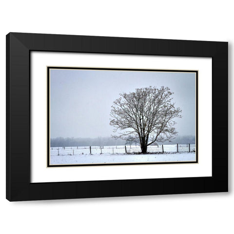 Snowbound I Black Modern Wood Framed Art Print with Double Matting by Hausenflock, Alan