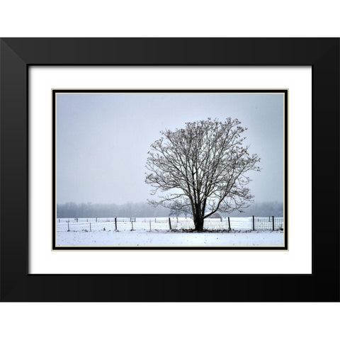 Snowbound I Black Modern Wood Framed Art Print with Double Matting by Hausenflock, Alan