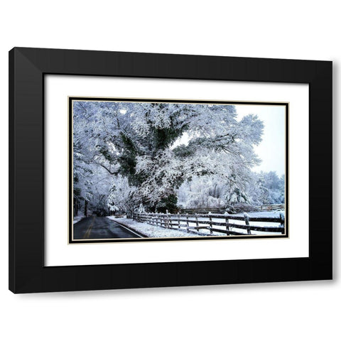 Rural Point Road Black Modern Wood Framed Art Print with Double Matting by Hausenflock, Alan