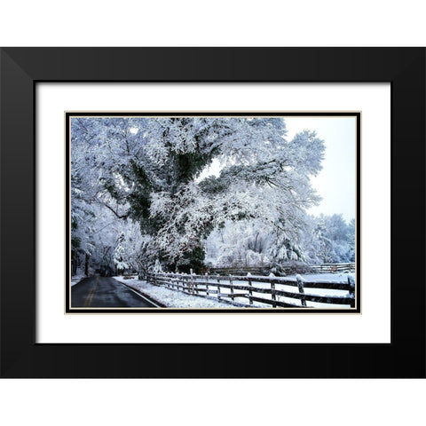 Rural Point Road Black Modern Wood Framed Art Print with Double Matting by Hausenflock, Alan