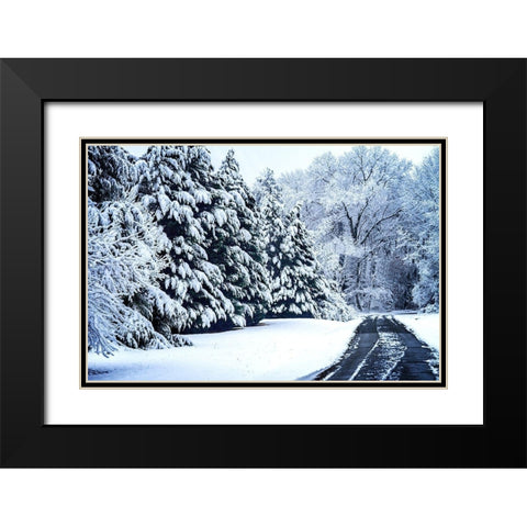 Bellswood Road Black Modern Wood Framed Art Print with Double Matting by Hausenflock, Alan