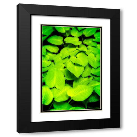 Heart Profusion Black Modern Wood Framed Art Print with Double Matting by Hausenflock, Alan