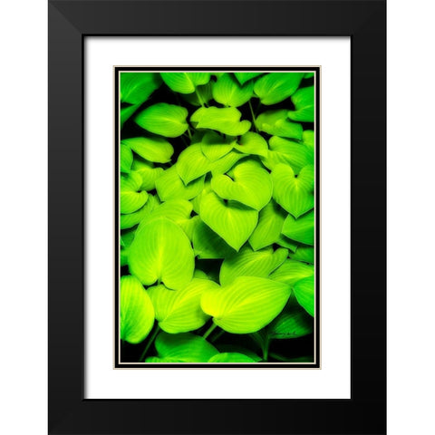 Heart Profusion Black Modern Wood Framed Art Print with Double Matting by Hausenflock, Alan