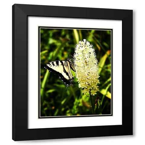 Yellow Butterfly Black Modern Wood Framed Art Print with Double Matting by Hausenflock, Alan