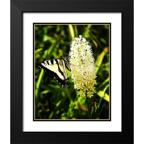 Yellow Butterfly Black Modern Wood Framed Art Print with Double Matting by Hausenflock, Alan