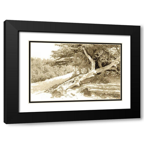 Carmel Beach I Black Modern Wood Framed Art Print with Double Matting by Hausenflock, Alan