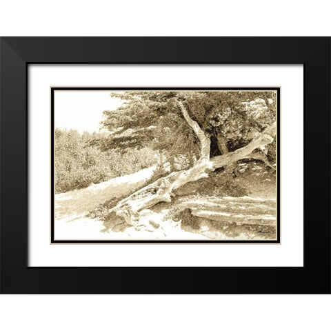 Carmel Beach I Black Modern Wood Framed Art Print with Double Matting by Hausenflock, Alan