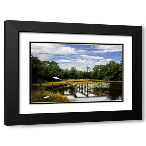 Egret on the Wing Black Modern Wood Framed Art Print with Double Matting by Hausenflock, Alan