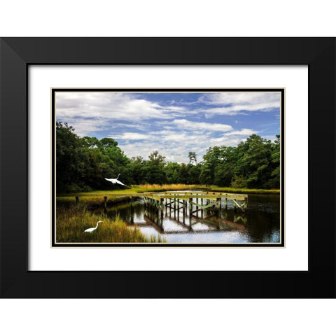 Egret on the Wing Black Modern Wood Framed Art Print with Double Matting by Hausenflock, Alan