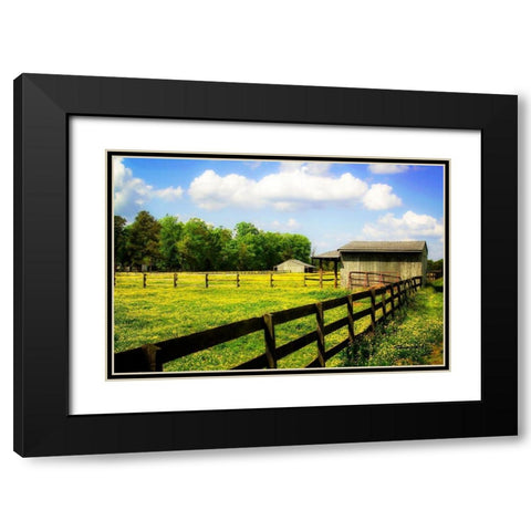 Spring on the Ranch Black Modern Wood Framed Art Print with Double Matting by Hausenflock, Alan