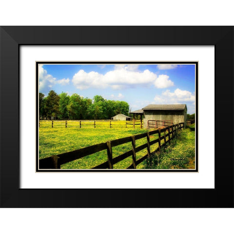 Spring on the Ranch Black Modern Wood Framed Art Print with Double Matting by Hausenflock, Alan