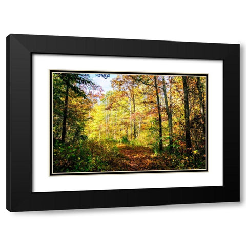 Autumn Colors Black Modern Wood Framed Art Print with Double Matting by Hausenflock, Alan