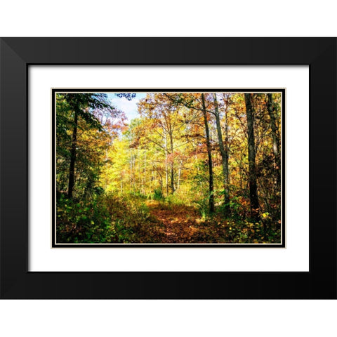 Autumn Colors Black Modern Wood Framed Art Print with Double Matting by Hausenflock, Alan