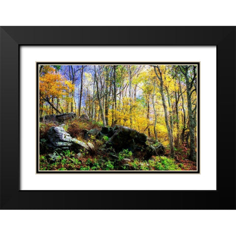 Turning Seasons Black Modern Wood Framed Art Print with Double Matting by Hausenflock, Alan