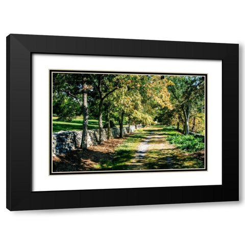 Late Afternoon Black Modern Wood Framed Art Print with Double Matting by Hausenflock, Alan