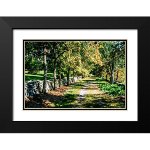 Late Afternoon Black Modern Wood Framed Art Print with Double Matting by Hausenflock, Alan