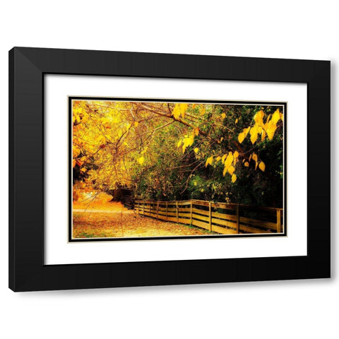 Autumns End Black Modern Wood Framed Art Print with Double Matting by Hausenflock, Alan