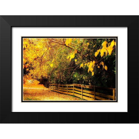 Autumns End Black Modern Wood Framed Art Print with Double Matting by Hausenflock, Alan