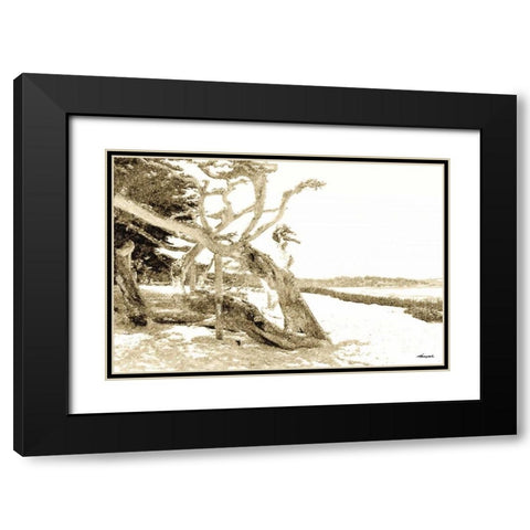 Carmel Beach II Black Modern Wood Framed Art Print with Double Matting by Hausenflock, Alan