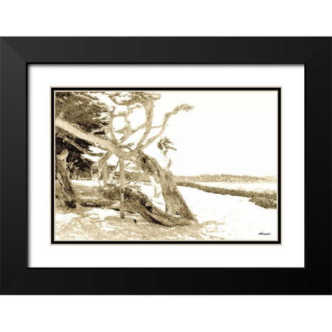 Carmel Beach II Black Modern Wood Framed Art Print with Double Matting by Hausenflock, Alan