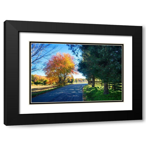 The Road Home II Black Modern Wood Framed Art Print with Double Matting by Hausenflock, Alan