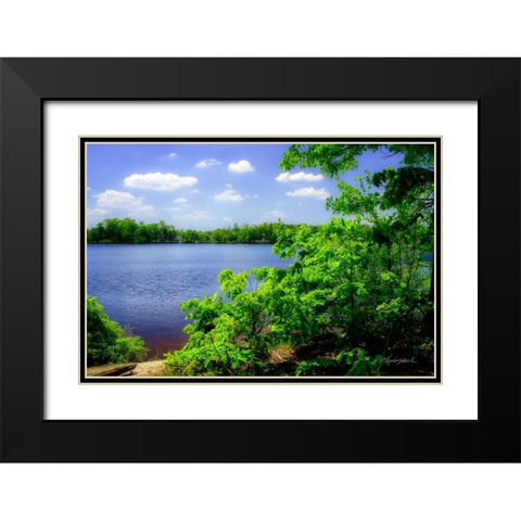 Swift Creek Lake Black Modern Wood Framed Art Print with Double Matting by Hausenflock, Alan