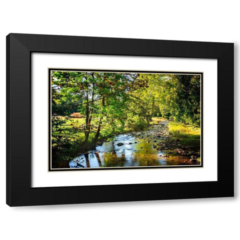 Happy Little Stream Black Modern Wood Framed Art Print with Double Matting by Hausenflock, Alan