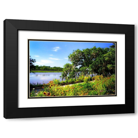 Flowers Along the River Black Modern Wood Framed Art Print with Double Matting by Hausenflock, Alan