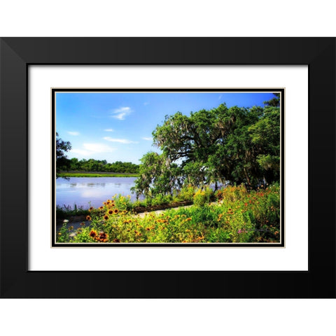 Flowers Along the River Black Modern Wood Framed Art Print with Double Matting by Hausenflock, Alan