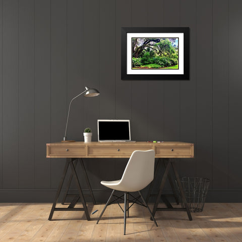 Hydrangea Garden Black Modern Wood Framed Art Print with Double Matting by Hausenflock, Alan