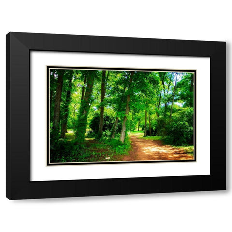 Barbourville Woods Black Modern Wood Framed Art Print with Double Matting by Hausenflock, Alan