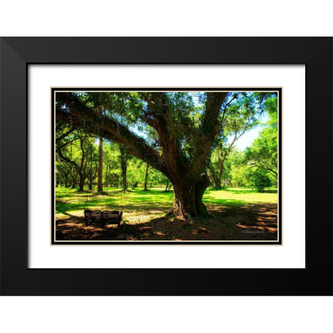 Tree Swing Black Modern Wood Framed Art Print with Double Matting by Hausenflock, Alan