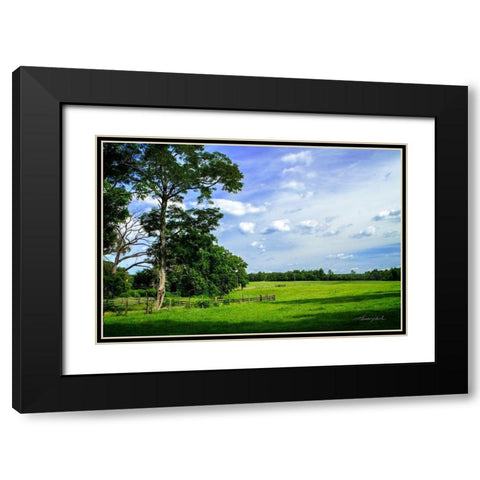 Abandoned Ranch Black Modern Wood Framed Art Print with Double Matting by Hausenflock, Alan