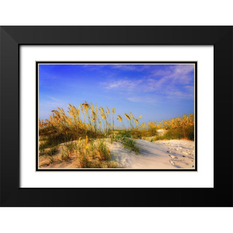 Waving Sea Oats Black Modern Wood Framed Art Print with Double Matting by Hausenflock, Alan