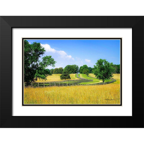 Farming Fields Black Modern Wood Framed Art Print with Double Matting by Hausenflock, Alan