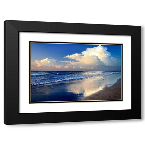 Seagull on the Shore Black Modern Wood Framed Art Print with Double Matting by Hausenflock, Alan