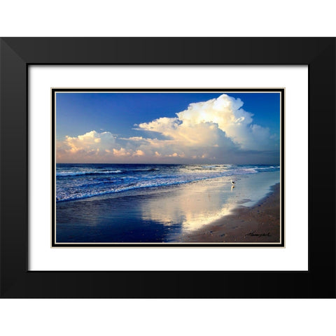 Seagull on the Shore Black Modern Wood Framed Art Print with Double Matting by Hausenflock, Alan