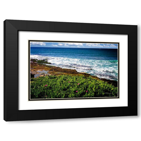 La Jolla Shore Black Modern Wood Framed Art Print with Double Matting by Hausenflock, Alan