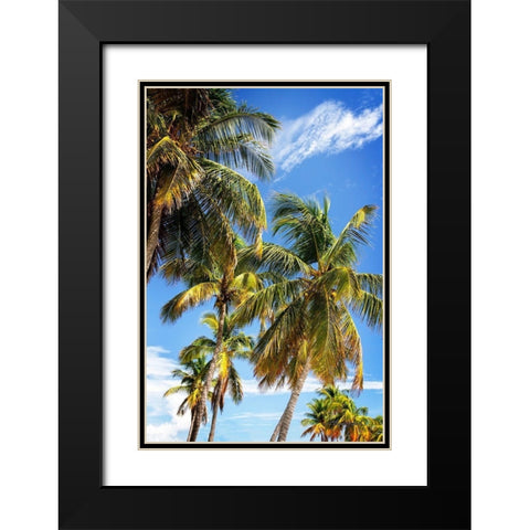 Sunlit Palms Black Modern Wood Framed Art Print with Double Matting by Hausenflock, Alan