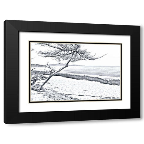 Carmel Beach III Black Modern Wood Framed Art Print with Double Matting by Hausenflock, Alan