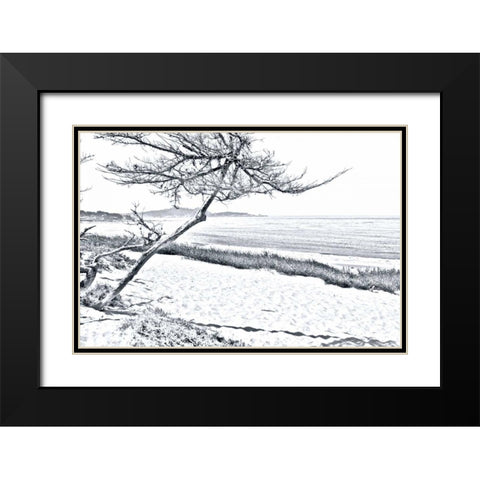 Carmel Beach III Black Modern Wood Framed Art Print with Double Matting by Hausenflock, Alan