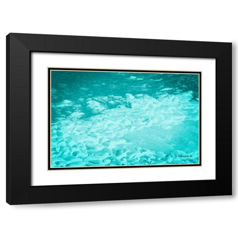 The Shore Black Modern Wood Framed Art Print with Double Matting by Hausenflock, Alan