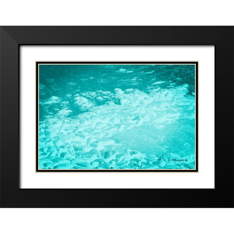 The Shore Black Modern Wood Framed Art Print with Double Matting by Hausenflock, Alan