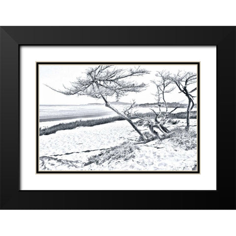 Carmel Beach IV Black Modern Wood Framed Art Print with Double Matting by Hausenflock, Alan