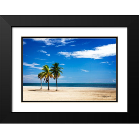 Palms on the Beach III Black Modern Wood Framed Art Print with Double Matting by Hausenflock, Alan