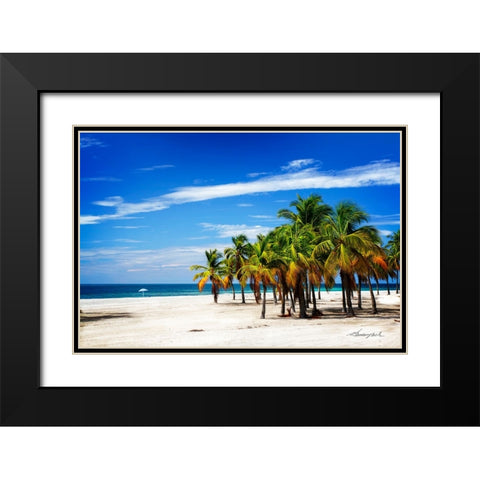 Palms on the Beach IV Black Modern Wood Framed Art Print with Double Matting by Hausenflock, Alan